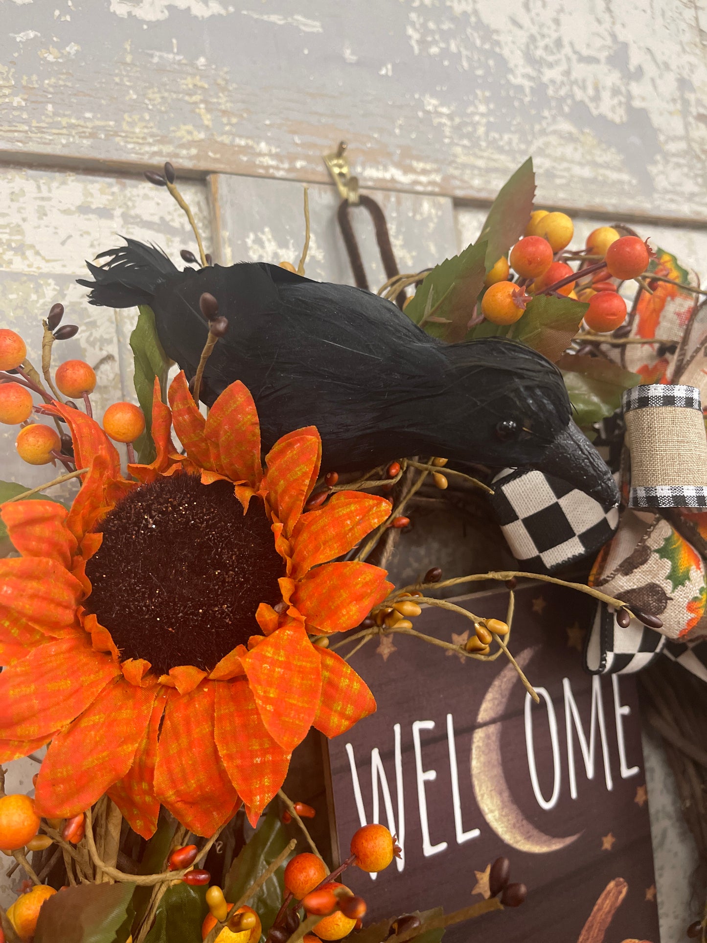 A Crows Welcome