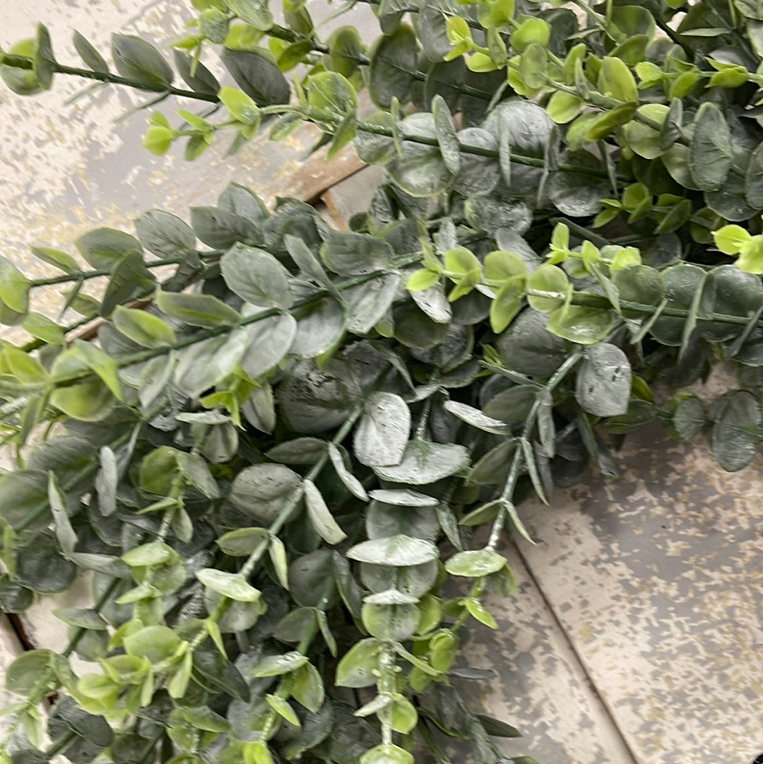 Eucalyptus Farmhouse
