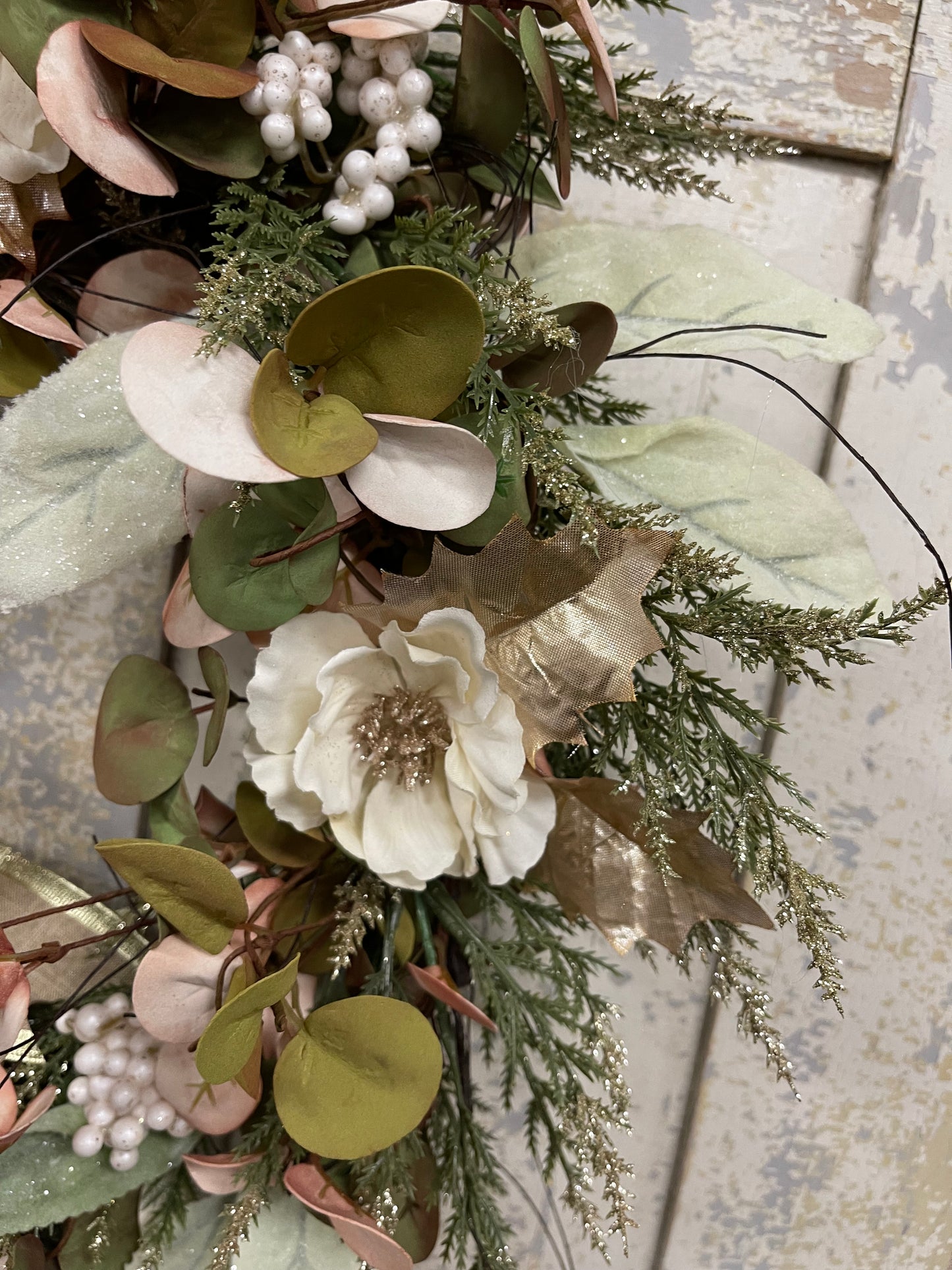 Eucalyptus Gold
