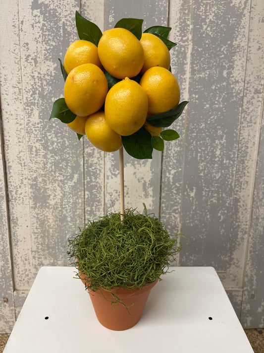 Lemon Topiary