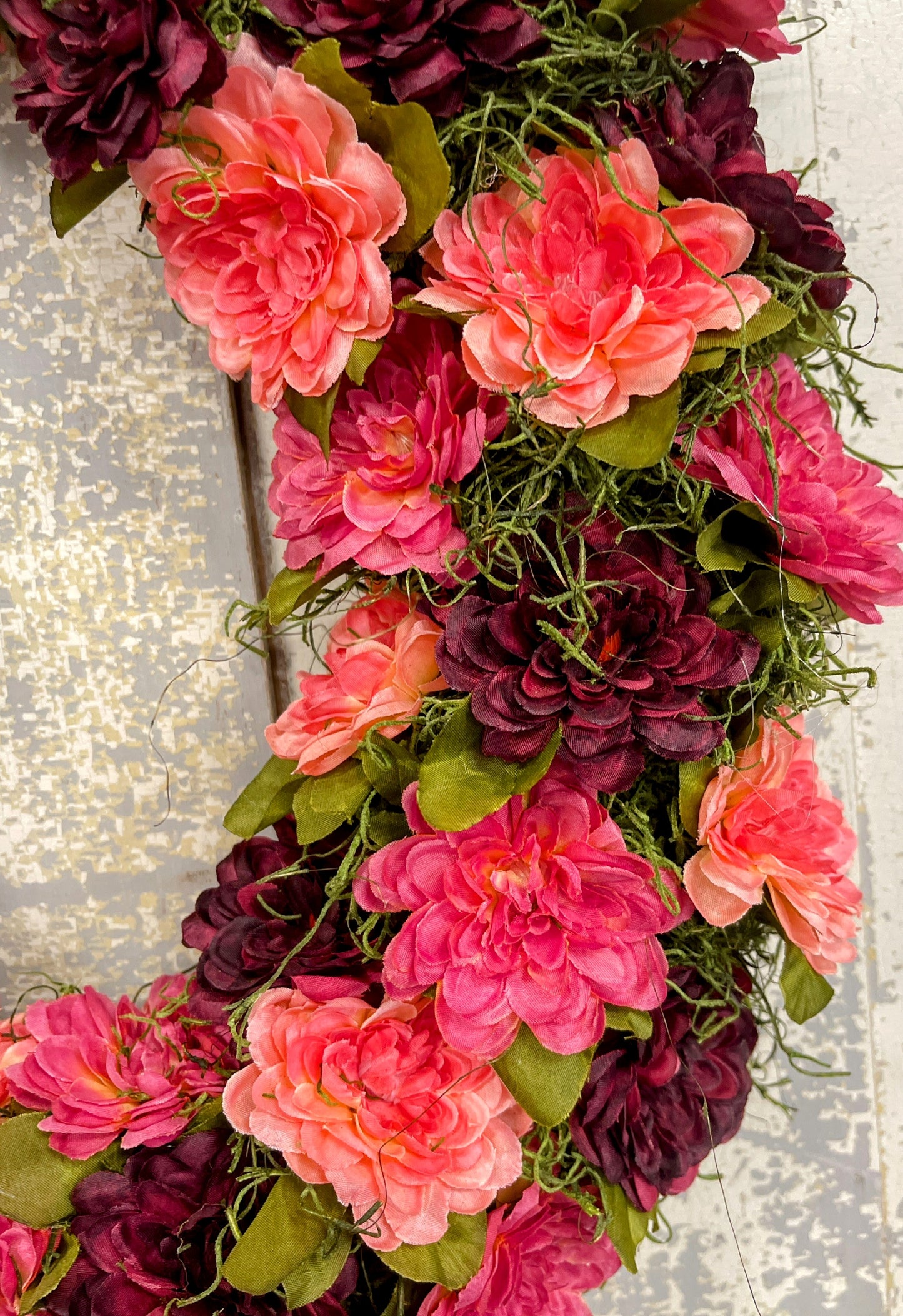 Mossy Zinnia
