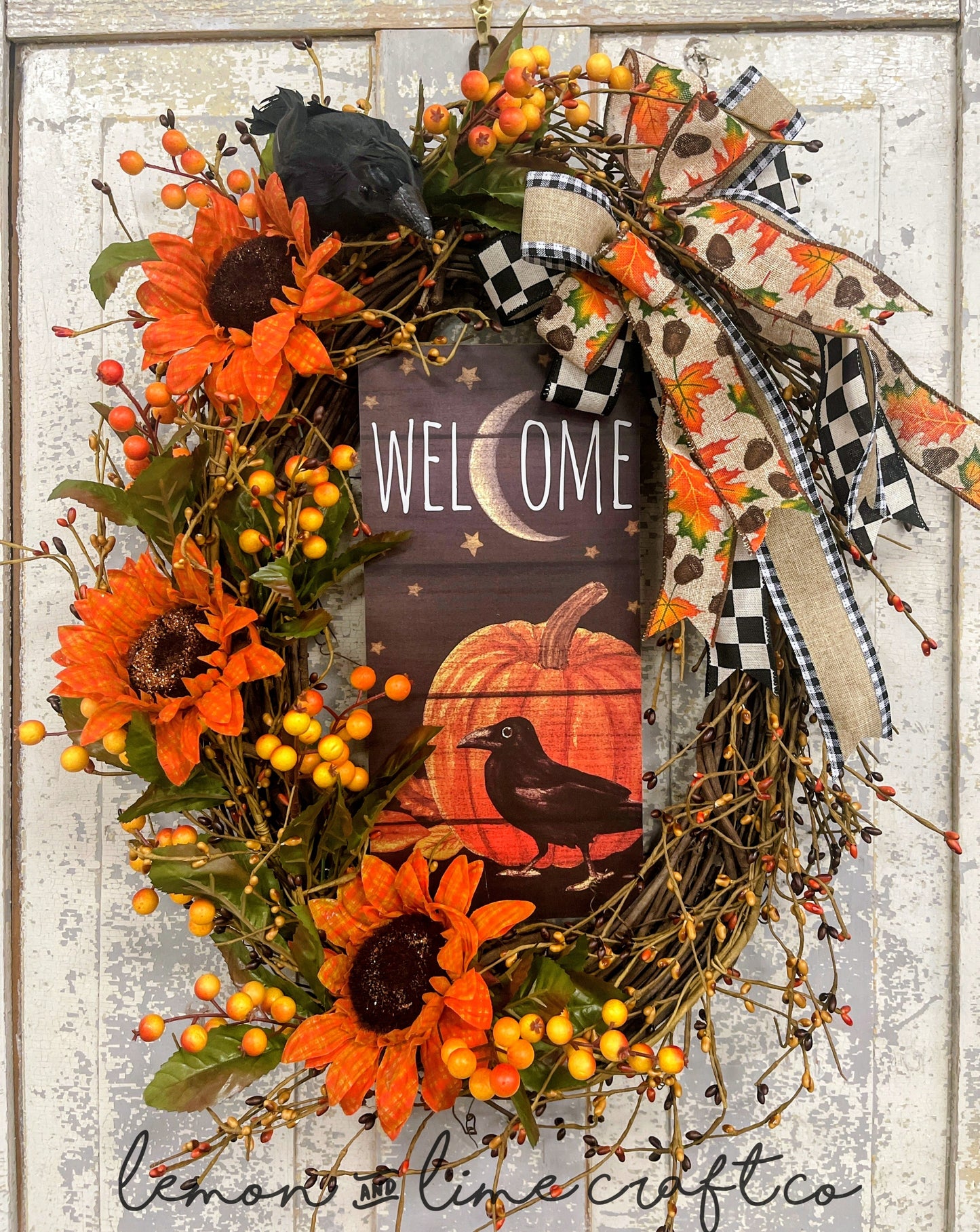 A Crows Welcome