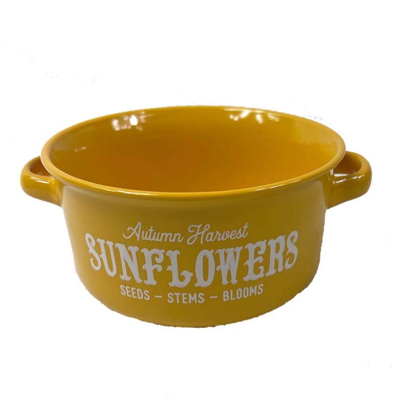 Crock Souper Pumpkin Mug