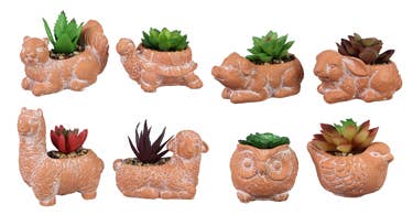 Cement Animal Planter W/Succulent