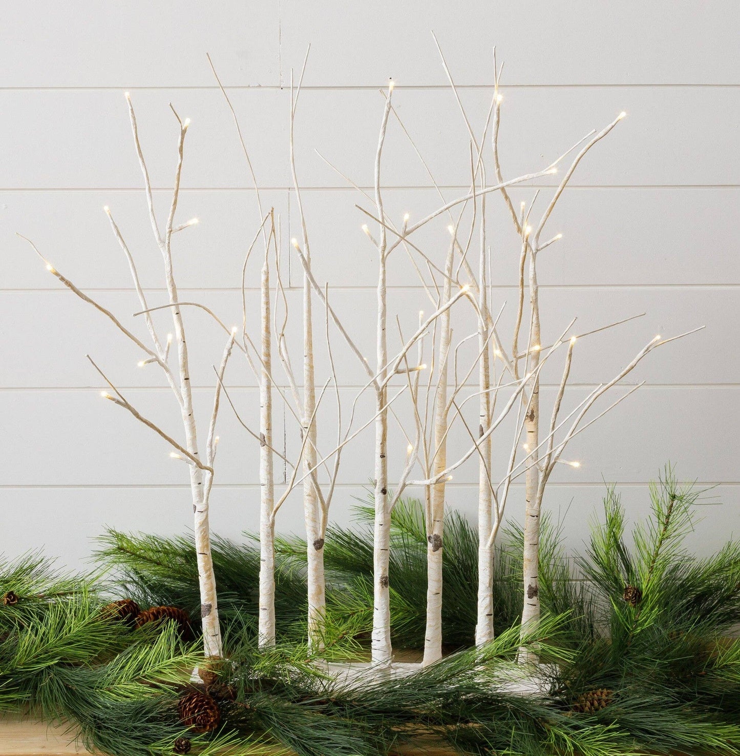LED Lighted Birch Tree Forest, White