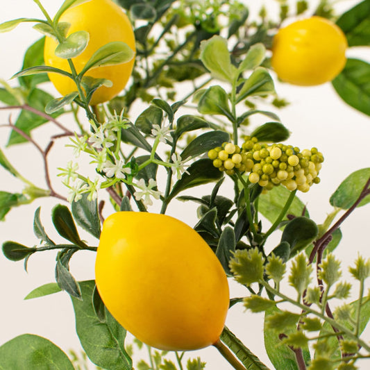 Lemon Garland