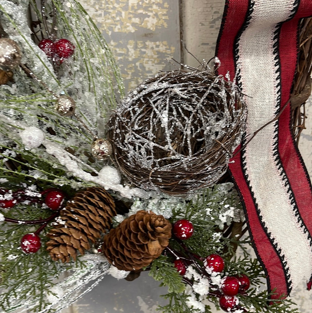 Snowy Nest