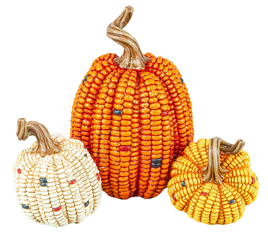 Maize Harvest Pumpkin Trio