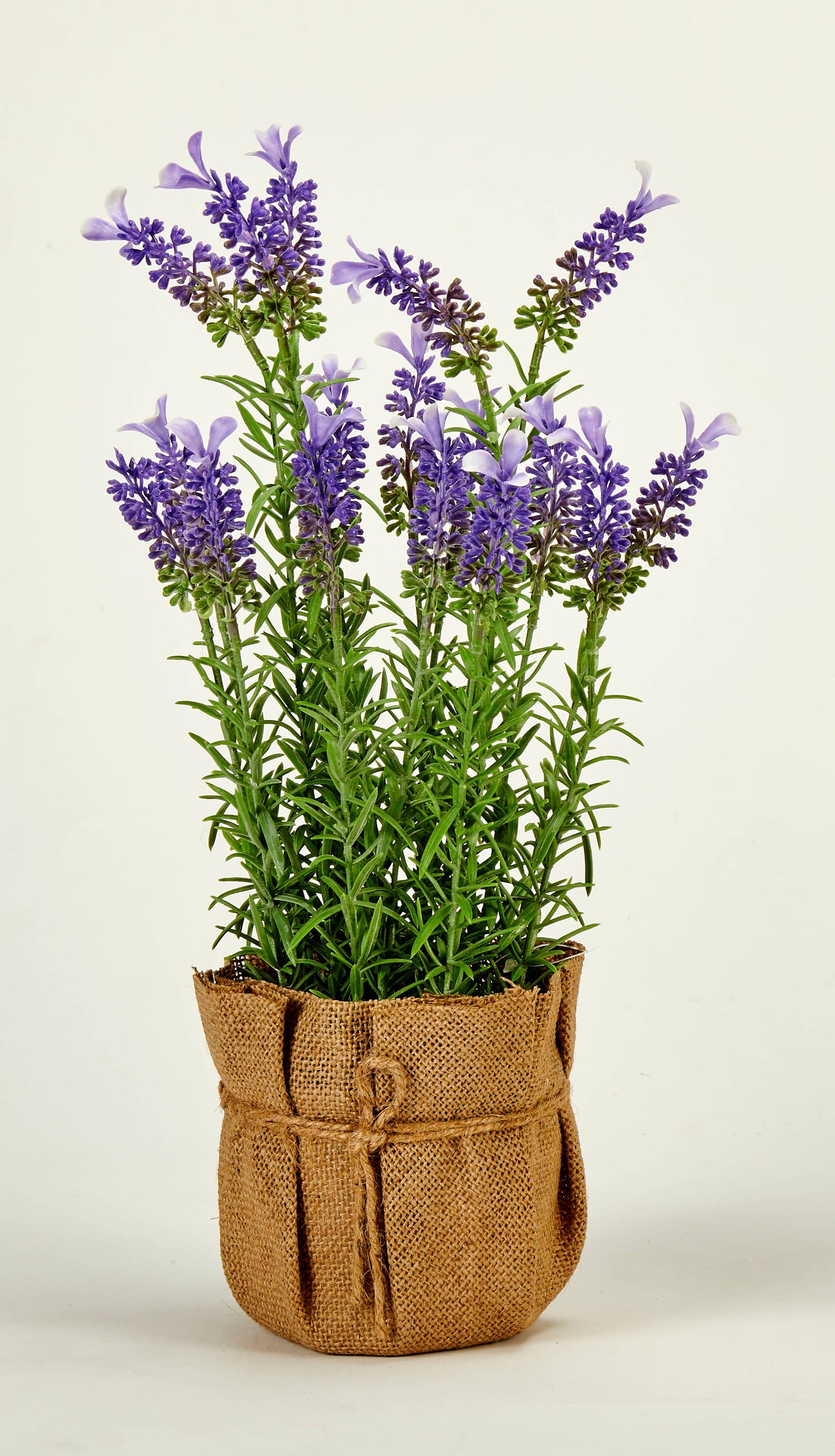 16" Lavender In Burlap Bag