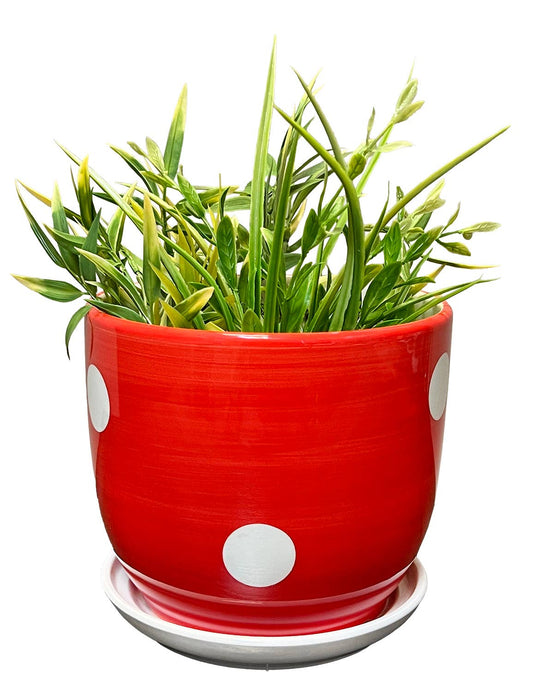 Spotted Mushroom Planter