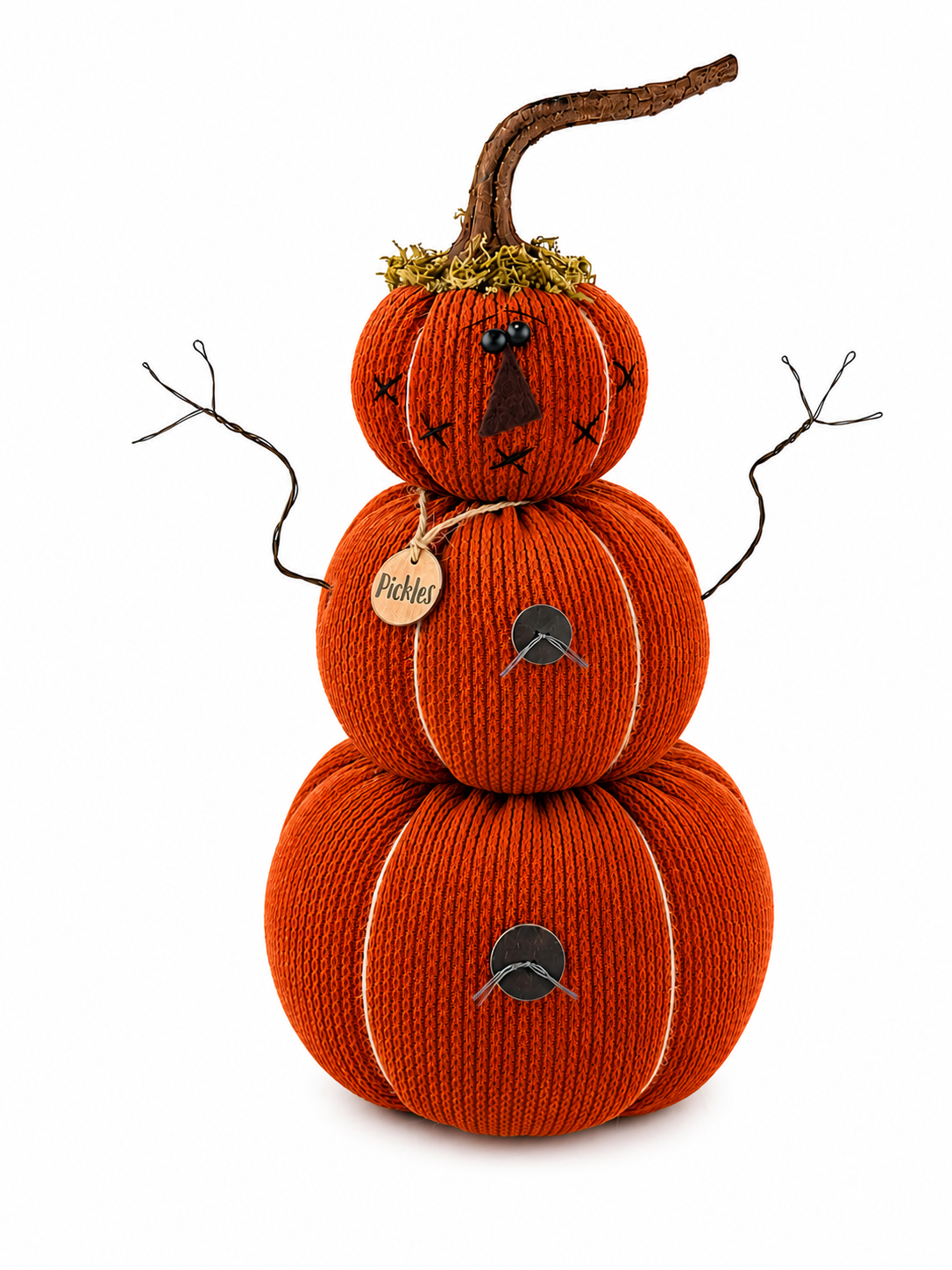 Pickles  the Puffy Pumpkin