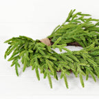 20in Heart Twig Wreath - Soft Touch Evergreen Norfolk Pine