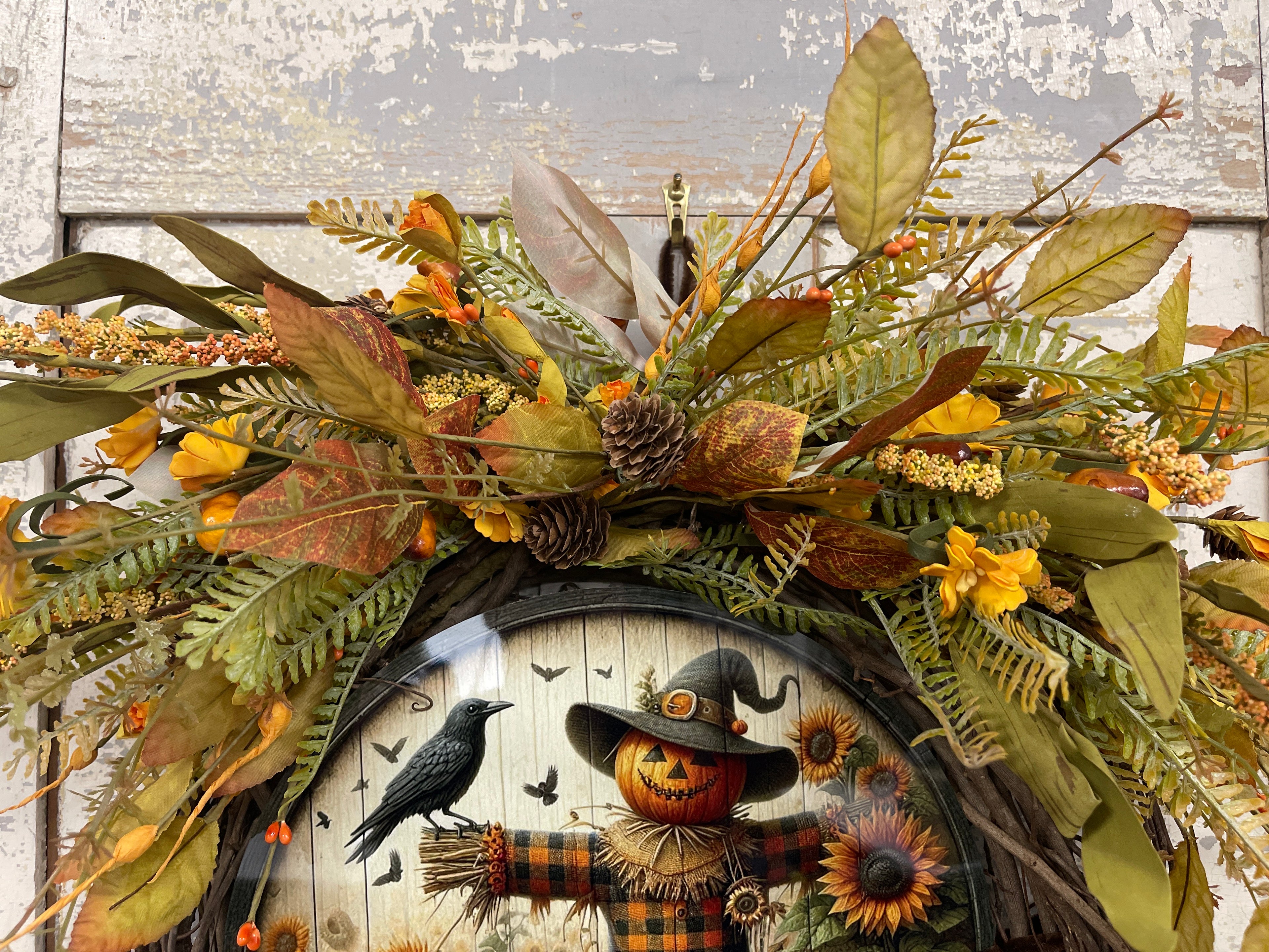 Mr. Scarecrow