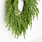 20in Heart Twig Wreath - Soft Touch Evergreen Norfolk Pine