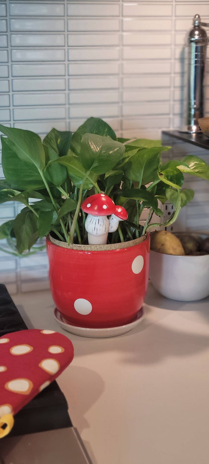 Spotted Mushroom Planter