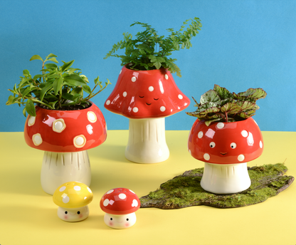 Mushroom Planter