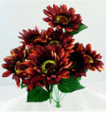 Maroon Sunflower Bush