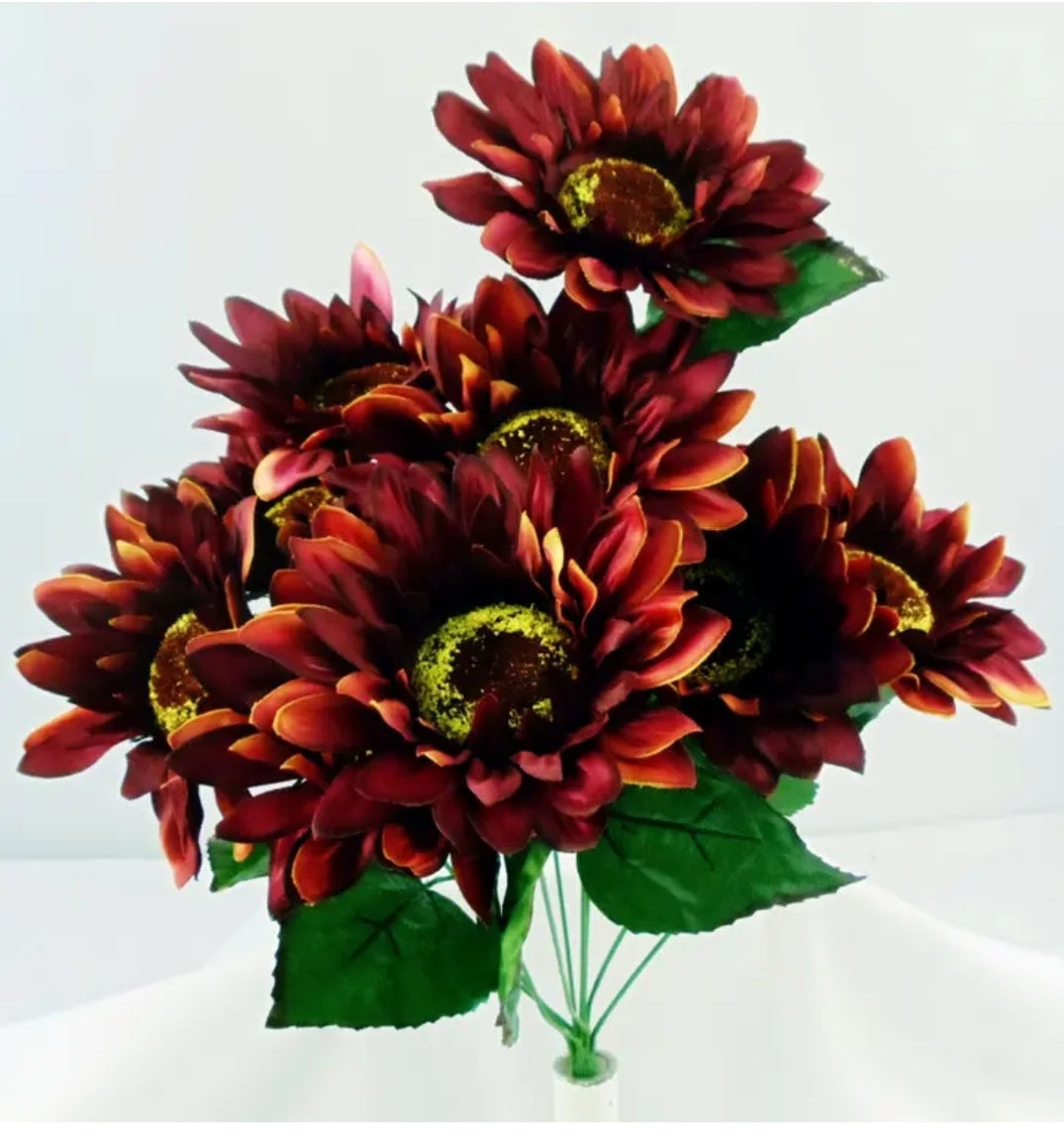 Maroon Sunflower Bush