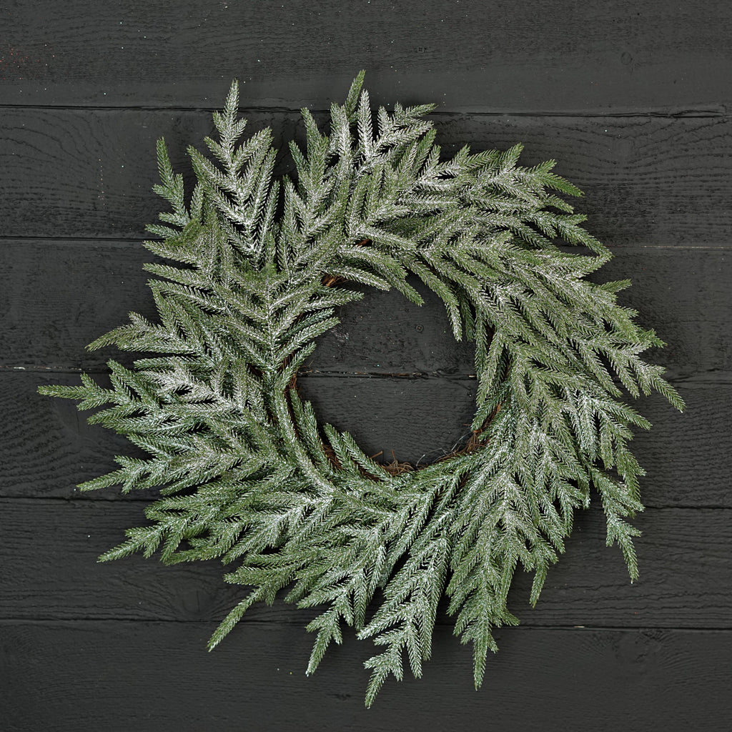 22in Wreath - Snowy Sparkle Real Touch Norfolk Pine