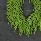 20in Heart Twig Wreath - Soft Touch Evergreen Norfolk Pine