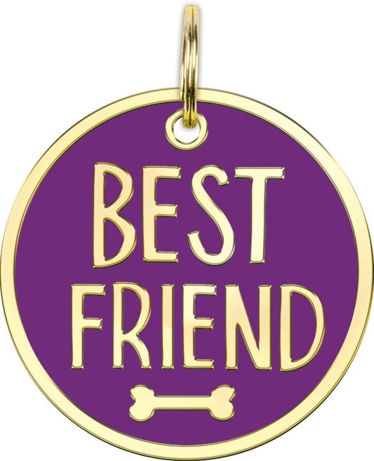 Best Friend Collar Charm