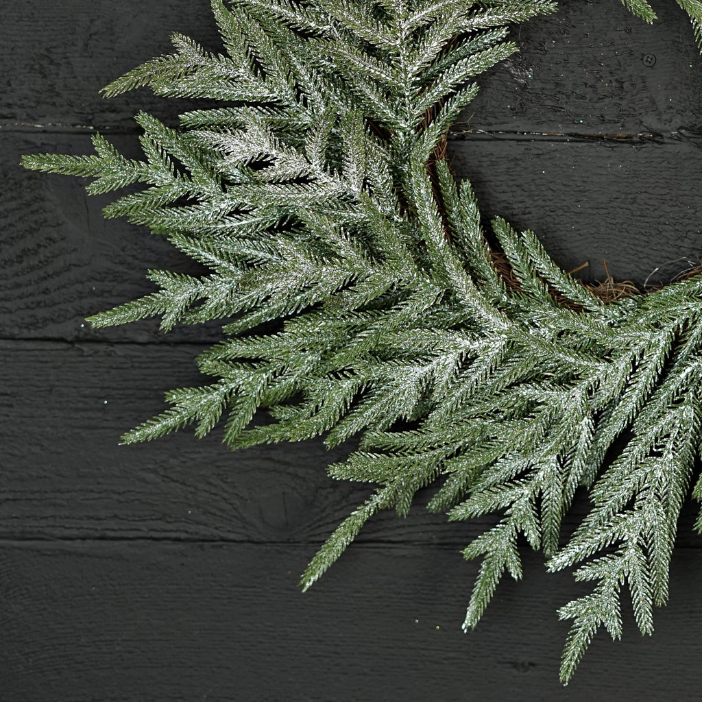 22in Wreath - Snowy Sparkle Real Touch Norfolk Pine