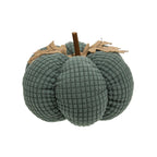 Teal Waffle Weave Pumpkin - Medium