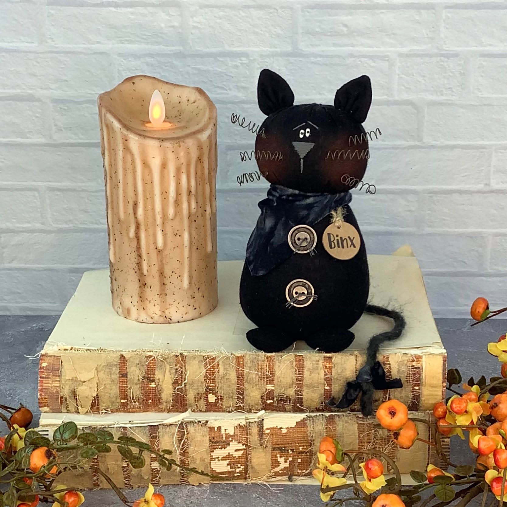 Binx the Groovy Black Cat