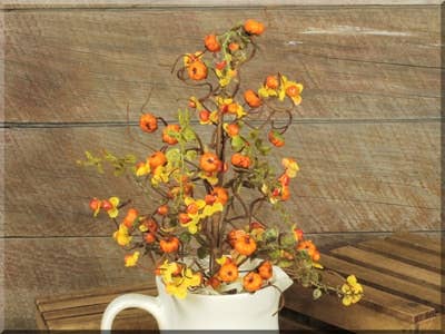 Bittersweet with Pumpkins Bush