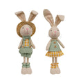 Mr. or Mrs. Spring Gingham Bunny