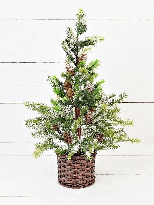 Snowy Cypress Tree w/ Willow Basket