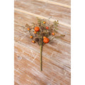 Pumpkin & Berry Pick