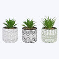 Cement Pot w/Greenery - 3 Assorted