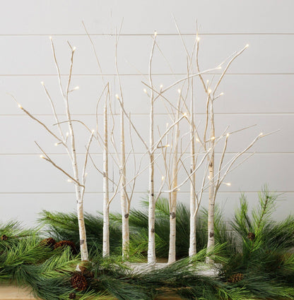 LED Lighted Birch Tree Forest, White