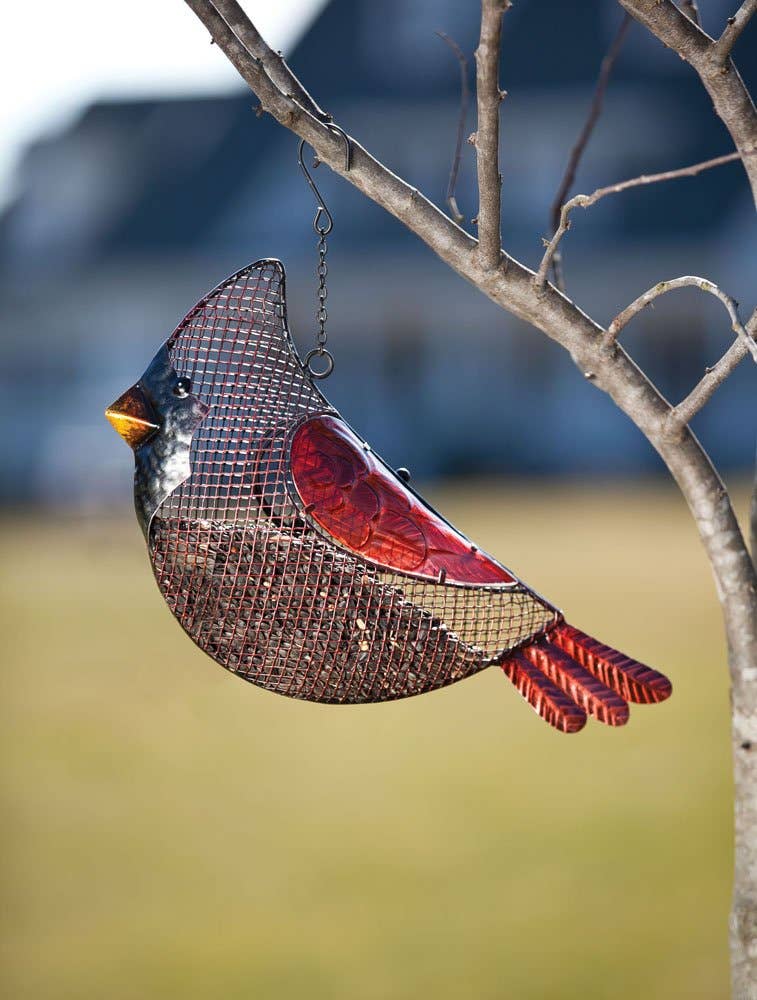 Cardinal Seed Feeder