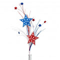 Polka Dot Star Spray